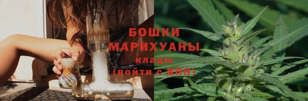 спиды Богданович