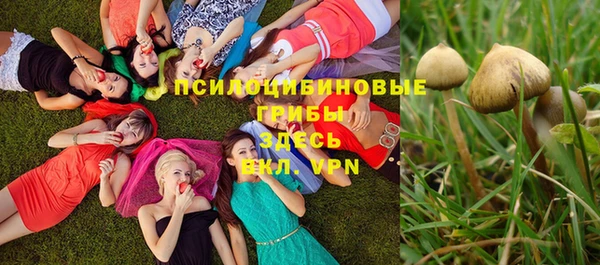 a pvp Богородицк