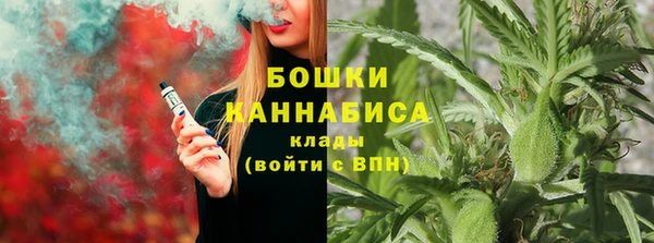 спиды Богданович