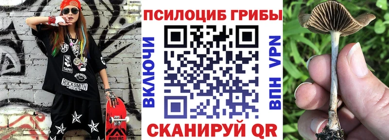 что такое наркотик Калуга МЕГА как войти Псилоцибиновые грибы Magic Shrooms