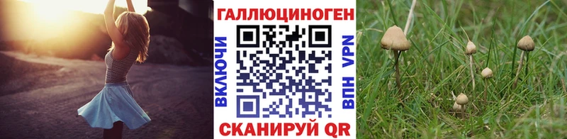 Псилоцибиновые грибы мицелий Калуга